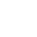 Naili Conveyor Logo - White